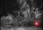 Image of Marines Okinawa Ryukyu Islands, 1945, second 37 stock footage video 65675078490