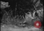 Image of Marines Okinawa Ryukyu Islands, 1945, second 39 stock footage video 65675078490