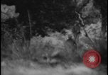 Image of Marines Okinawa Ryukyu Islands, 1945, second 40 stock footage video 65675078490