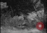 Image of Marines Okinawa Ryukyu Islands, 1945, second 42 stock footage video 65675078490