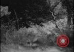 Image of Marines Okinawa Ryukyu Islands, 1945, second 44 stock footage video 65675078490