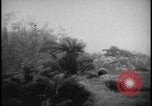 Image Marines Naha Îles Ryukyu d'Okinawa, 1945, de la seconde 41 séquences d'archives historiques vidéo 65675078492