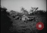 Image Marines Naha Îles Ryukyu d'Okinawa, 1945, de la seconde 45 séquences d'archives historiques vidéo 65675078492