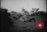 Image Marines Naha Îles Ryukyu d'Okinawa, 1945, de la seconde 46 séquences d'archives historiques vidéo 65675078492