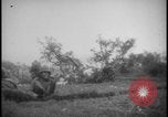 Image Marines Naha Îles Ryukyu d'Okinawa, 1945, de la seconde 49 séquences d'archives historiques vidéo 65675078492