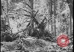 Standbild Schlacht von Guadalcanal Guadalcanal Salomonen, 1942, aus Sekunde 7 historischem Filmmaterial Videoclip 65675078496