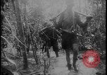 Image of Salamaua-Lae campaign Salamaua Papua New Guinea, 1943, second 45 stock footage video 65675078498