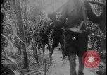 Image of Salamaua-Lae campaign Salamaua Papua New Guinea, 1943, second 46 stock footage video 65675078498