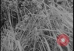 Image of Salamaua-Lae campaign Salamaua Papua New Guinea, 1943, second 50 stock footage video 65675078498