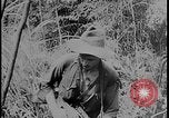 Image of Salamaua-Lae campaign Salamaua Papua New Guinea, 1943, second 13 stock footage video 65675078499