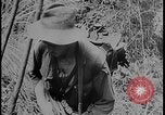 Image of Salamaua-Lae campaign Salamaua Papua New Guinea, 1943, second 14 stock footage video 65675078499