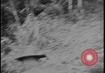 Image of Salamaua-Lae campaign Salamaua Papua New Guinea, 1943, second 19 stock footage video 65675078499