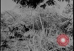 Image of Salamaua-Lae campaign Salamaua Papua New Guinea, 1943, second 24 stock footage video 65675078499