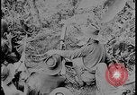 Image of Salamaua-Lae campaign Salamaua Papua New Guinea, 1943, second 27 stock footage video 65675078499