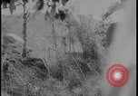 Image of Salamaua-Lae campaign Salamaua Papua New Guinea, 1943, second 36 stock footage video 65675078499