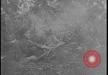 Image of Salamaua-Lae campaign Salamaua Papua New Guinea, 1943, second 38 stock footage video 65675078499