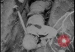 Image of Salamaua-Lae campaign Salamaua Papua New Guinea, 1943, second 51 stock footage video 65675078499