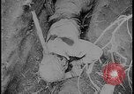 Image of Salamaua-Lae campaign Salamaua Papua New Guinea, 1943, second 52 stock footage video 65675078499