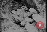 Image of Salamaua-Lae campaign Salamaua Papua New Guinea, 1943, second 54 stock footage video 65675078499