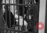 Image of Cuban revolution jail Havana Cuba, 1959, second 29 stock footage video 65675078506