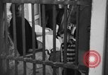 Image of Cuban revolution jail Havana Cuba, 1959, second 30 stock footage video 65675078506
