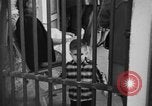 Image of Cuban revolution jail Havana Cuba, 1959, second 31 stock footage video 65675078506
