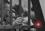 Image of Cuban revolution jail Havana Cuba, 1959, second 35 stock footage video 65675078506