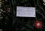 Standbild Vietnamkrieg Vietnam, 1967, aus Sekunde 8 historischem Filmmaterial Videoclip 65675078512
