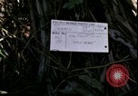Standbild Vietnamkrieg Vietnam, 1967, aus Sekunde 10 historischem Filmmaterial Videoclip 65675078512