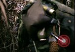 Standbild Vietnamkrieg Vietnam, 1967, aus Sekunde 14 historischem Filmmaterial Videoclip 65675078512