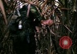 Standbild Vietnamkrieg Vietnam, 1967, aus Sekunde 17 historischem Filmmaterial Videoclip 65675078512
