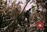 Standbild Vietnamkrieg Vietnam, 1967, aus Sekunde 52 historischem Filmmaterial Videoclip 65675078512