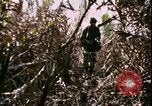 Standbild Vietnamkrieg Vietnam, 1967, aus Sekunde 54 historischem Filmmaterial Videoclip 65675078512