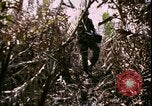 Standbild Vietnamkrieg Vietnam, 1967, aus Sekunde 55 historischem Filmmaterial Videoclip 65675078512