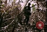 Standbild Vietnamkrieg Vietnam, 1967, aus Sekunde 56 historischem Filmmaterial Videoclip 65675078512
