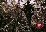 Standbild Vietnamkrieg Vietnam, 1967, aus Sekunde 58 historischem Filmmaterial Videoclip 65675078512