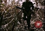 Standbild Vietnamkrieg Vietnam, 1967, aus Sekunde 59 historischem Filmmaterial Videoclip 65675078512