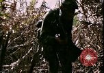 Standbild Vietnamkrieg Vietnam, 1967, aus Sekunde 61 historischem Filmmaterial Videoclip 65675078512