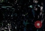 Image of Vietnam War Vietnam, 1967, second 5 stock footage video 65675078513