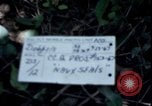 Image of Vietnam War Vietnam, 1967, second 7 stock footage video 65675078513
