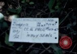Image of Vietnam War Vietnam, 1967, second 8 stock footage video 65675078513