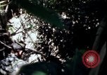Image of Vietnam War Vietnam, 1967, second 15 stock footage video 65675078513