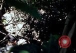 Image of Vietnam War Vietnam, 1967, second 16 stock footage video 65675078513