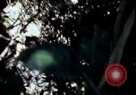 Image of Vietnam War Vietnam, 1967, second 18 stock footage video 65675078513