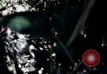 Image of Vietnam War Vietnam, 1967, second 19 stock footage video 65675078513