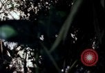 Image of Vietnam War Vietnam, 1967, second 21 stock footage video 65675078513