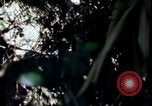 Image of Vietnam War Vietnam, 1967, second 22 stock footage video 65675078513