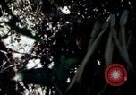 Image of Vietnam War Vietnam, 1967, second 23 stock footage video 65675078513