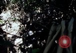 Image of Vietnam War Vietnam, 1967, second 24 stock footage video 65675078513