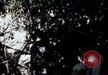Image of Vietnam War Vietnam, 1967, second 25 stock footage video 65675078513
